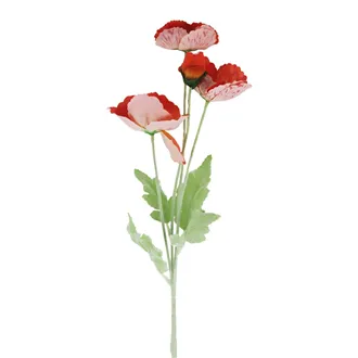 Poppy X7963-04