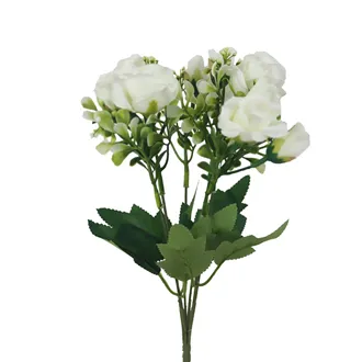 Bouquet Roses X8166-01