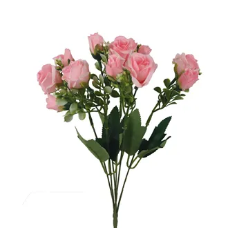 Bouquet of Roses X8166-05