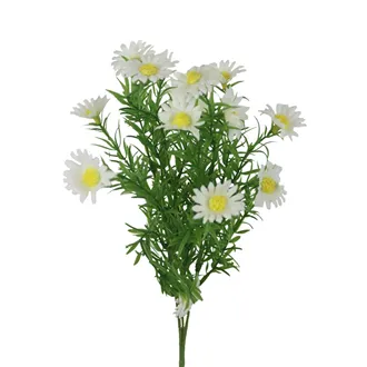 Wild Daisy X8170-01