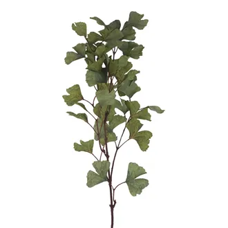 Branch with leaves X8364-15