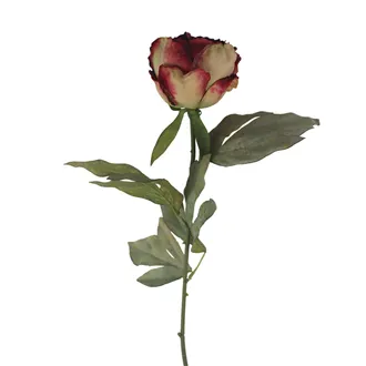 Artificial dried peony X8367-08