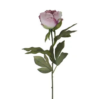 Artificial dried peony X8367-10