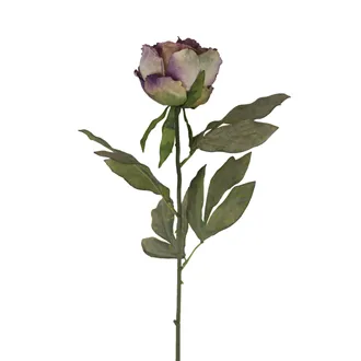 Artificial dried peony X8367-11