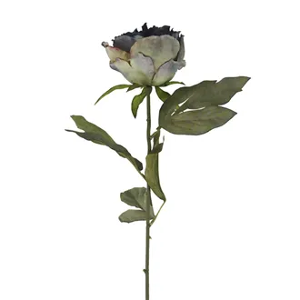 Artificial dried peony X8367-13