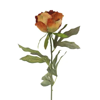 Artificial dried peony X8367-24