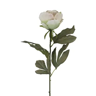 Artificial dried peony X8367-26