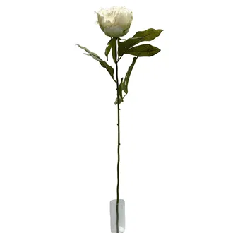 Artificial dried peony X8367-26