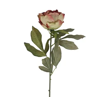Artificial dried peony X8367-37