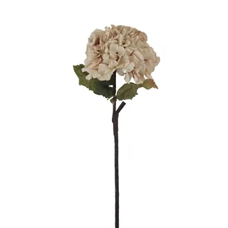 Artificial Dried Hydrangea X8374-01