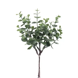 Eucalyptus Branch X8390