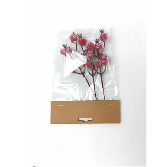 Decoration with Berries X8397