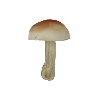 Decorative mushroom X8412